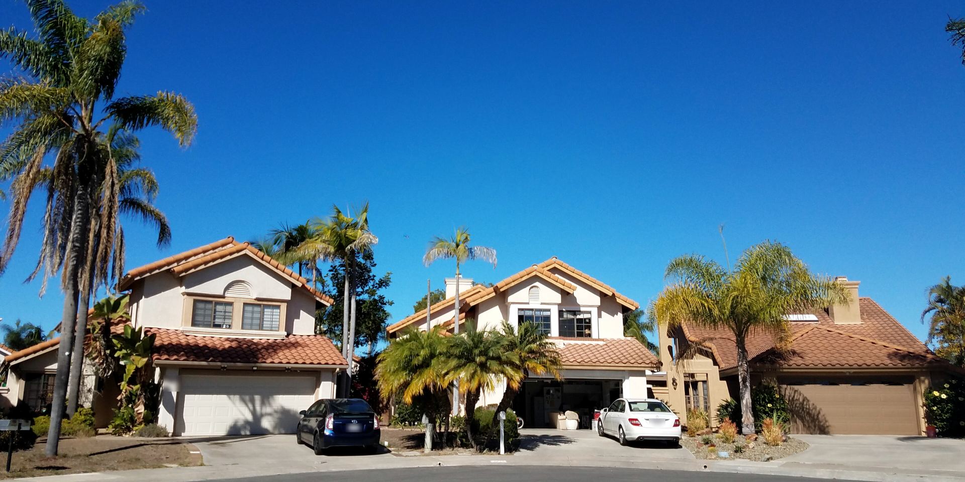 Homes with tile roofs and palm trees on a cul-de-sac in Carmel Valley, San Diego