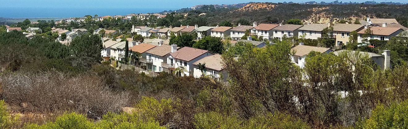 Rows of homes in Carmel Valley with the Pacific Ocean on the horizon