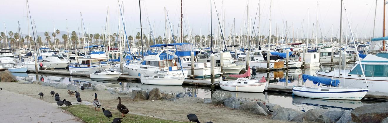 Boats at the Chula Vista marina
