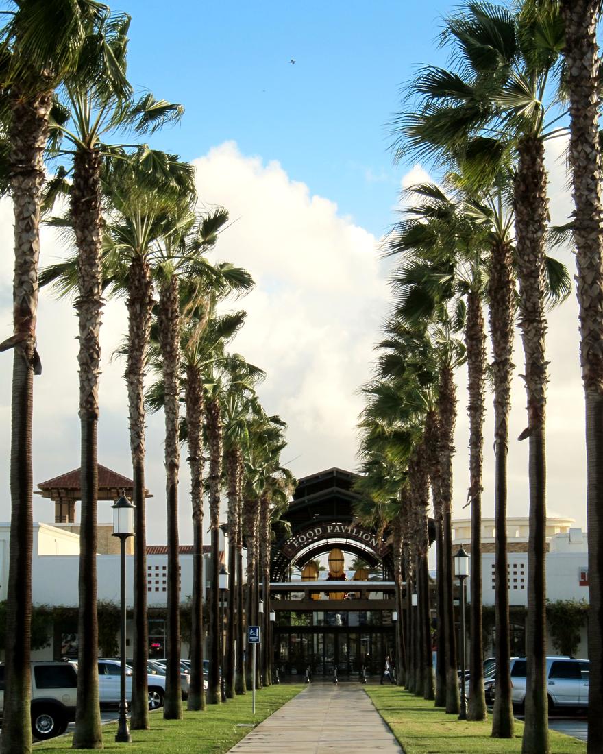 Palm-lined promenade at Otay Ranch, Chula Vista