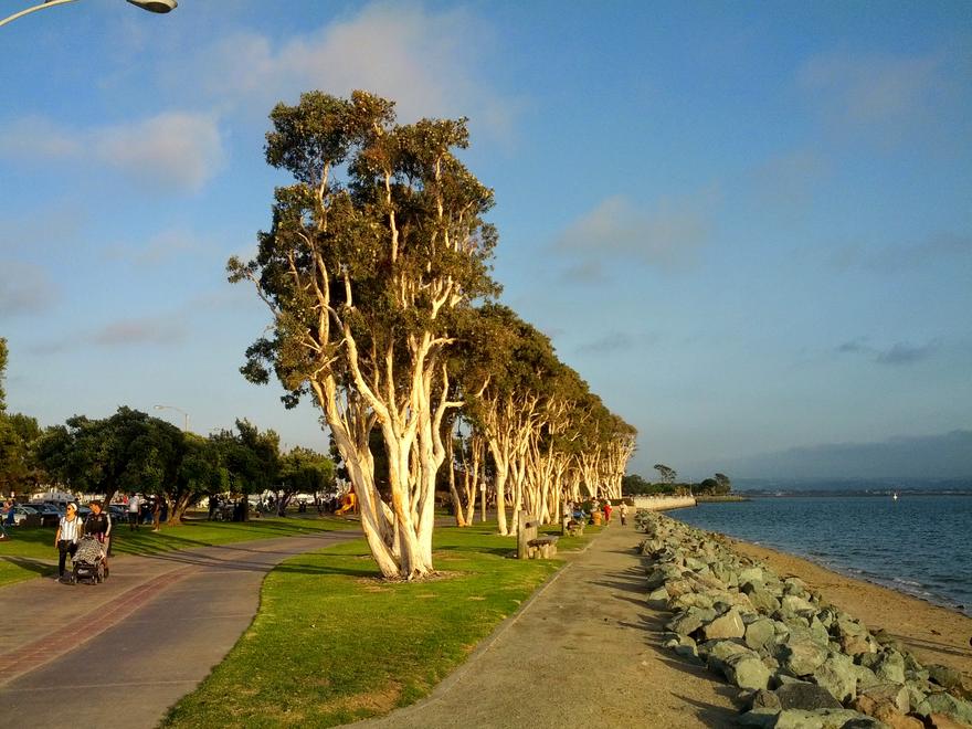 Waterfront path and trees at Chula Vista Bayfront Park