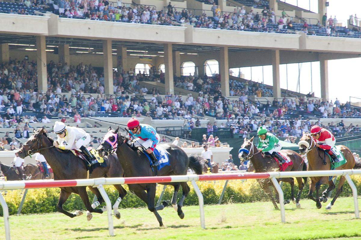 Horse race at the Del Mar racetrack